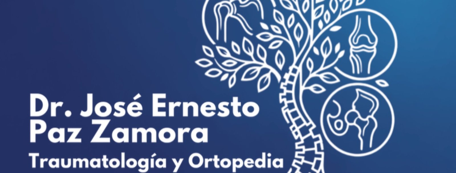 Portada de José Ernesto Paz Zamora